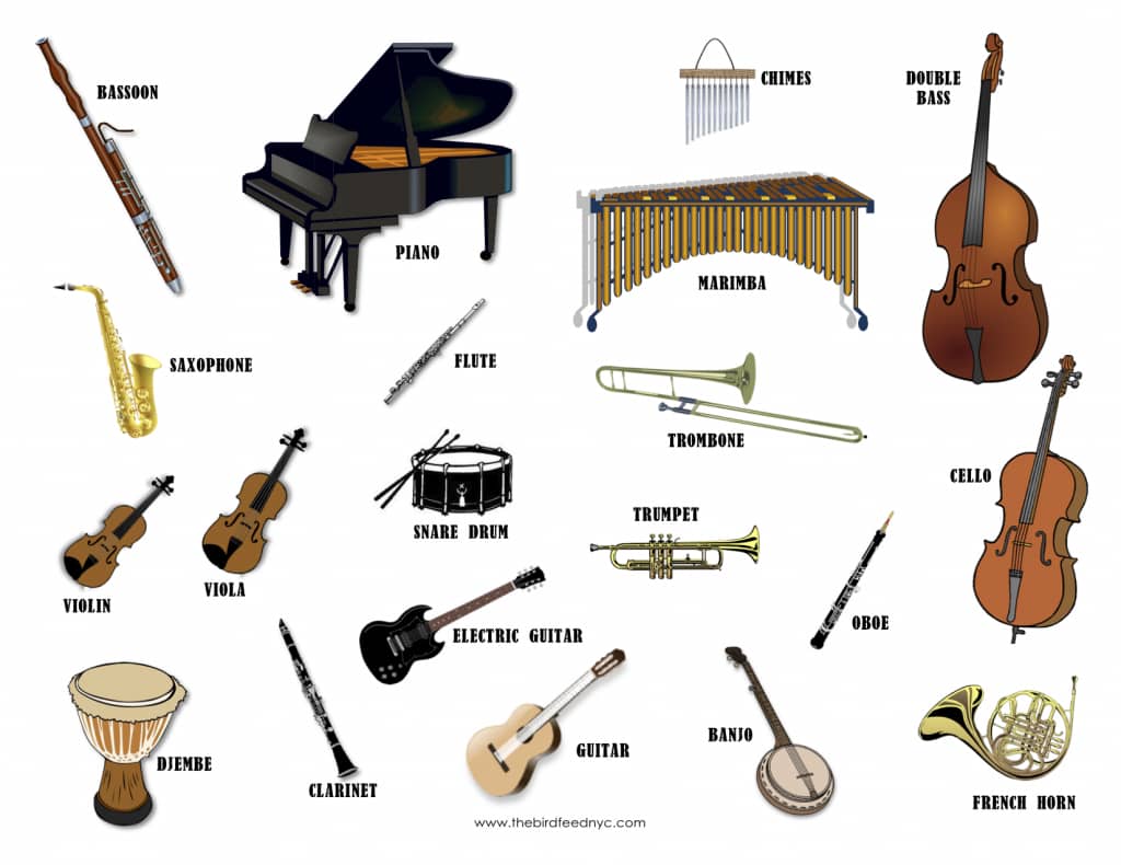 top-10-easiest-musical-instruments-to-learn-musicbox